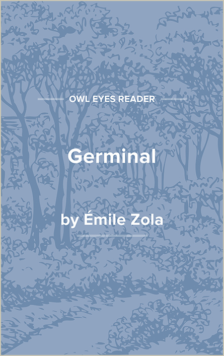 Emile Zola Biography, List of Works, Study Guides & Essays