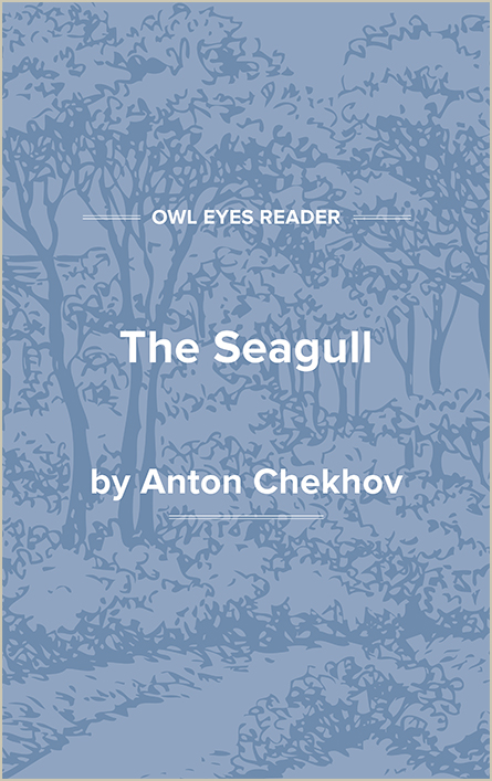 The Seagull Cover Image