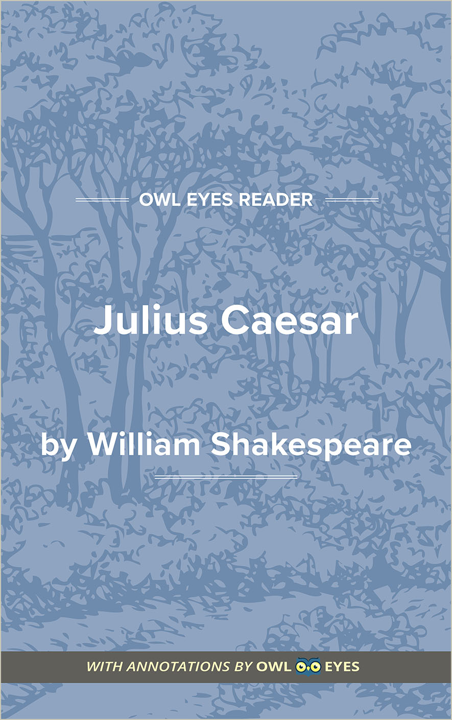 Julius Caesar Summary and character sketchs of main characters