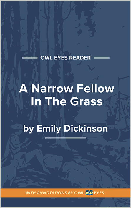 A Narrow Fellow in the Grass Cover Image