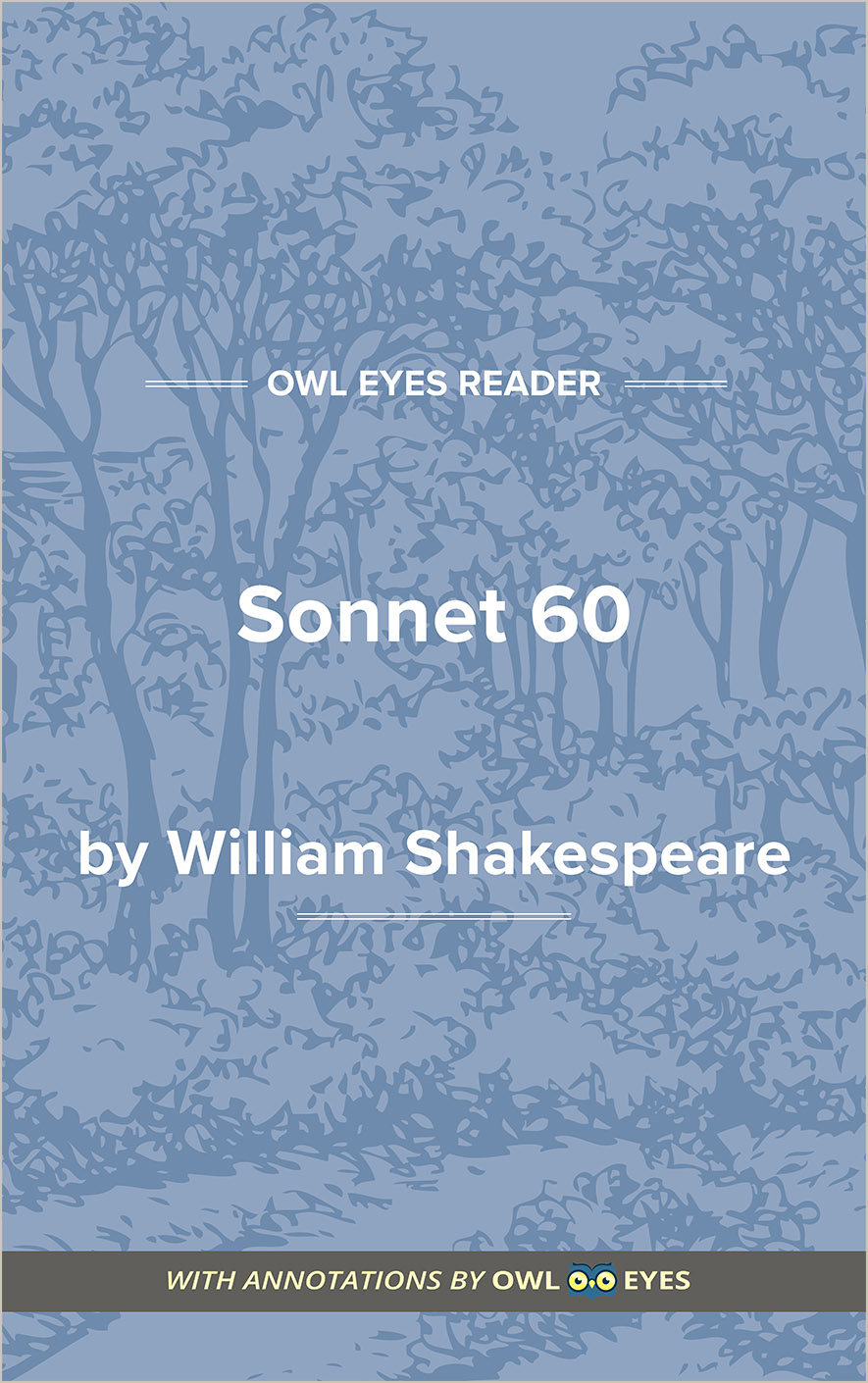 Sonnet 60 Full Text and Analysis - Owl Eyes