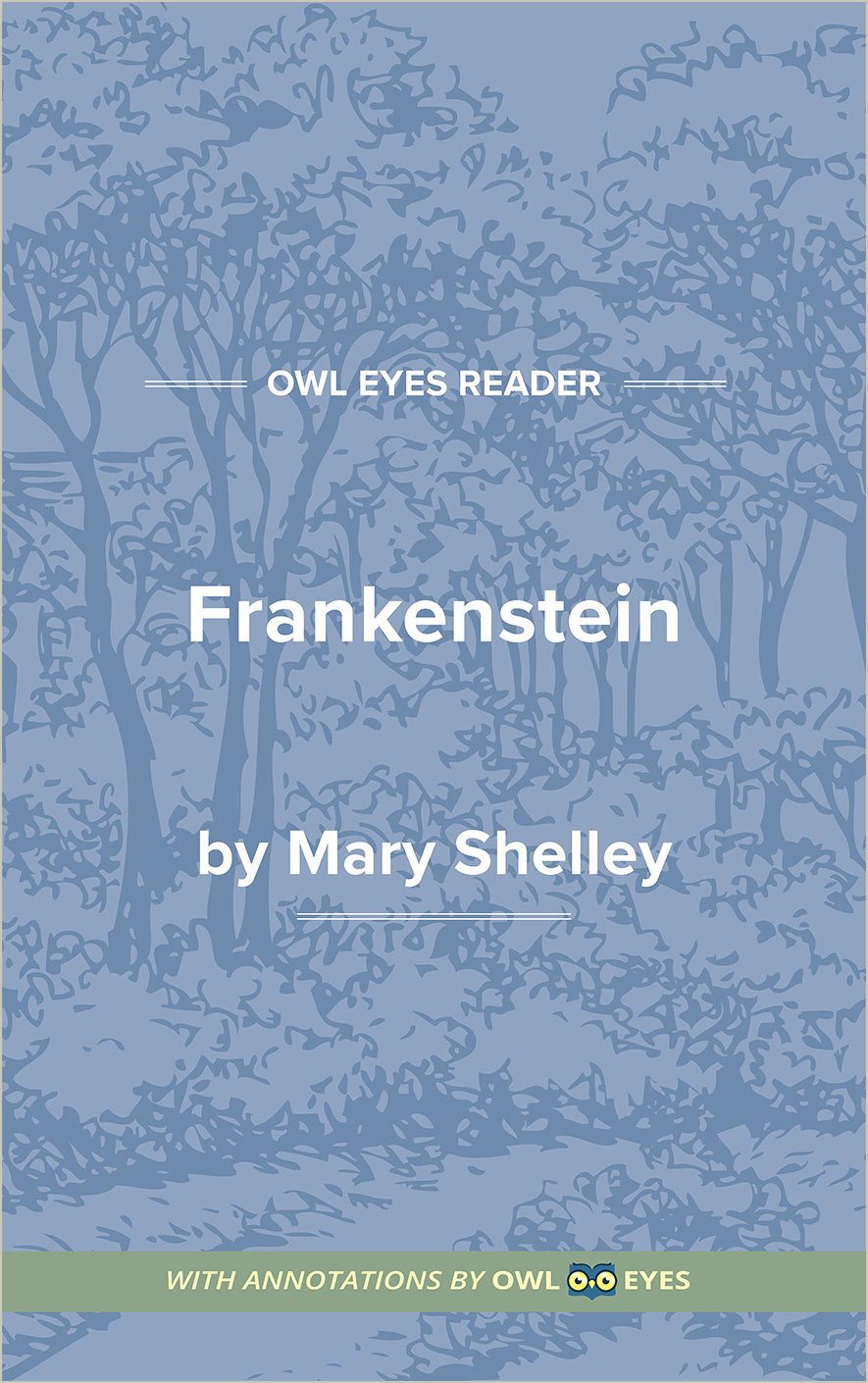 frankenstein-plot-summary-short-frankenstein-short-summary