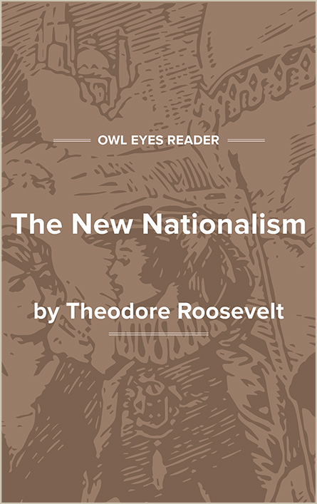 The New Nationalism Cover Image