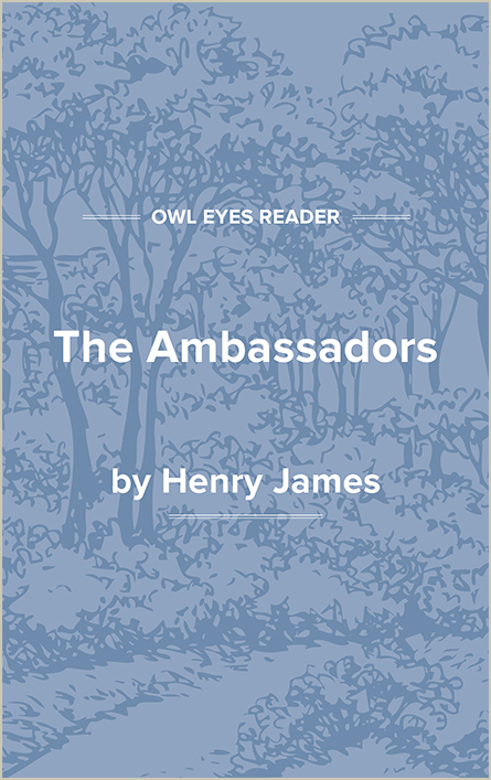 The Ambassadors Cover Image