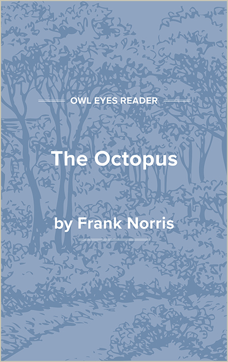 The Octopus Cover Image