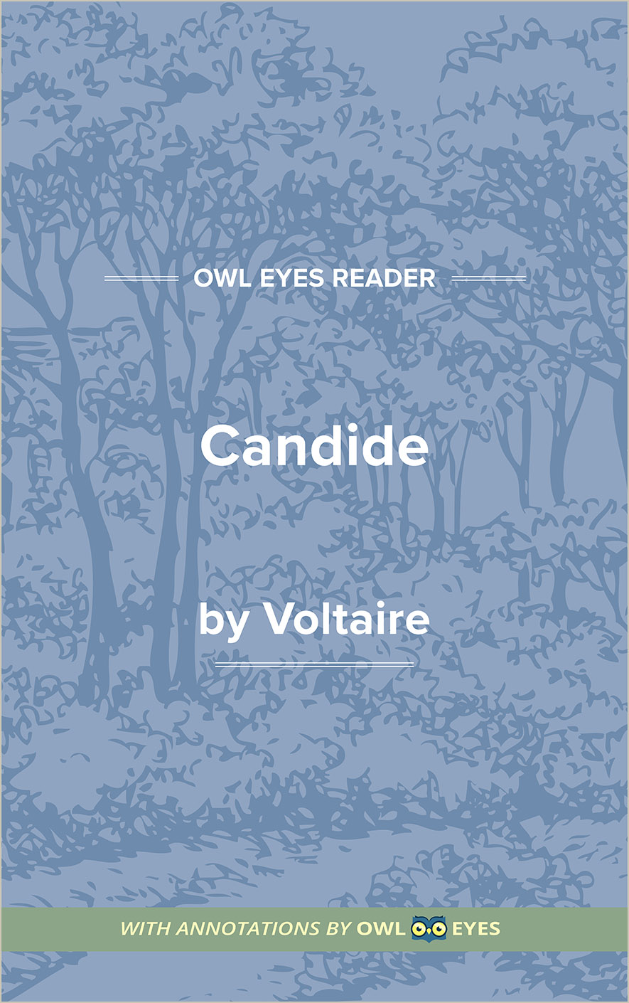 Themes In Candide Owl Eyes