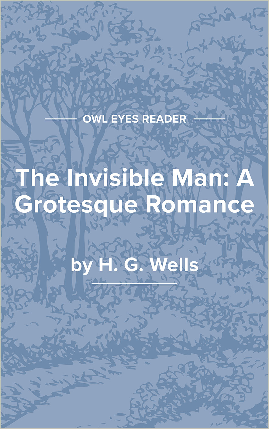 the invisible man a grotesque romance