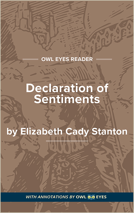 declaration of sentiments and resolutions analysis