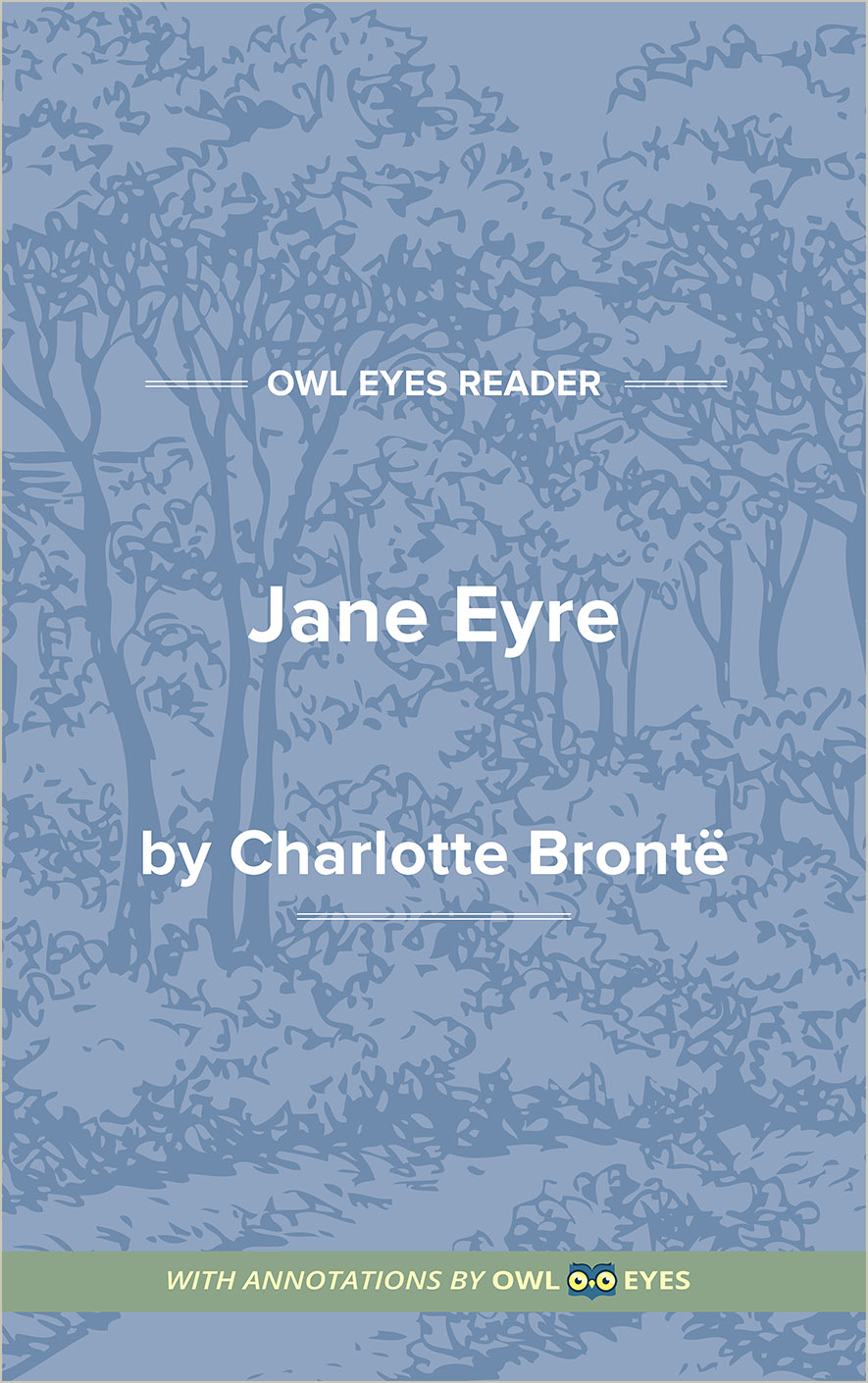 literary devices used in jane eyre