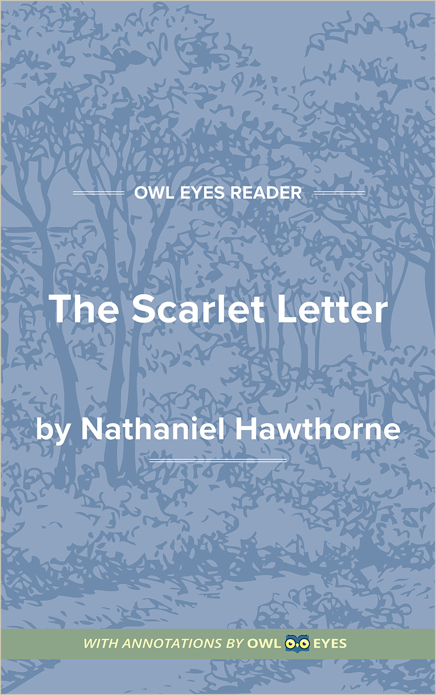 nathaniel hawthorne the scarlet letter