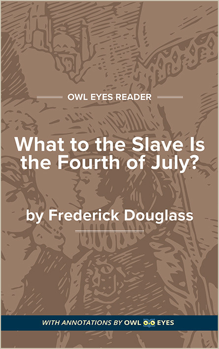 what to the slave is the fourth of july analysis