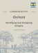 Orchard Imagery Activity page 1