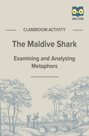 The Maldive Shark Metaphor Activity