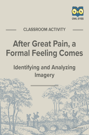 After Great Pain, a Formal Feeling Comes Imagery Activity